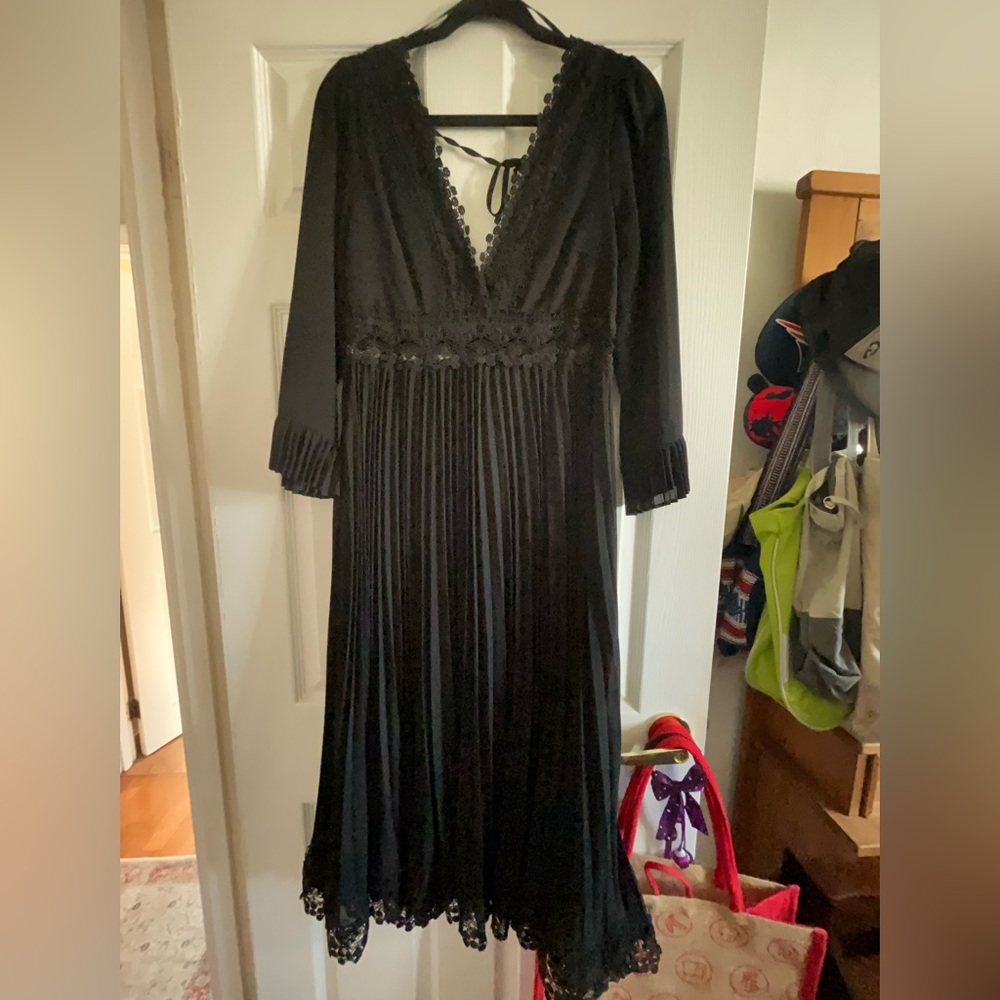 Gorgeous sheer Lacey dress. Beautiful detailed waist and sleeves.